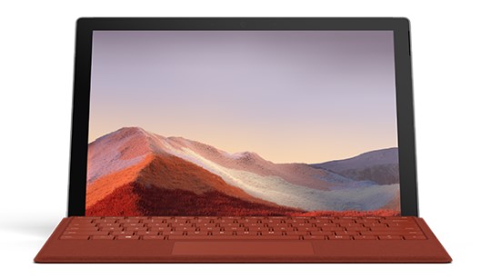 洪山清洁和维护 Surface